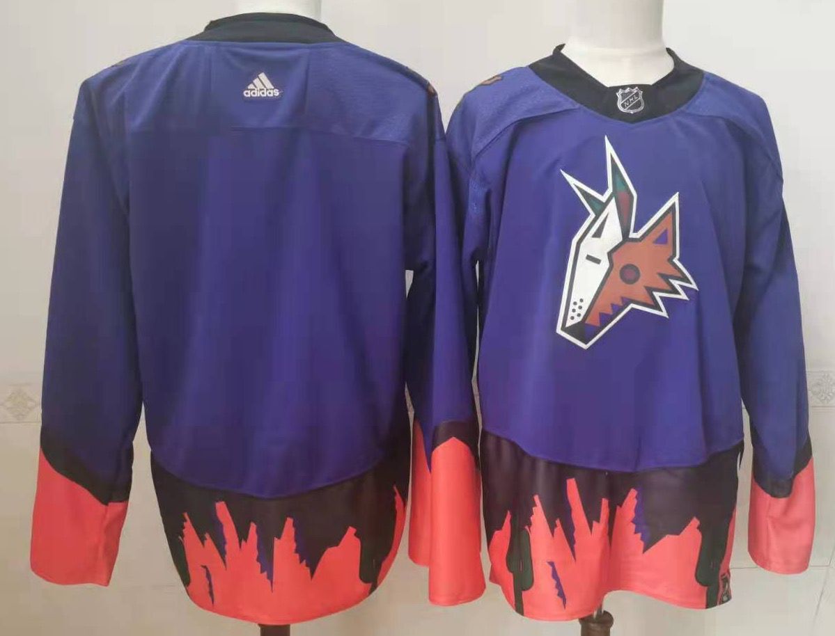Men's Arizona Coyotes Blue Blank Player jersey